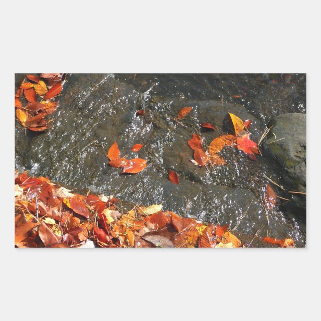 Sticker Rectangulaire Feuilles d'automne dans la cascade I Photographie  (Devant)