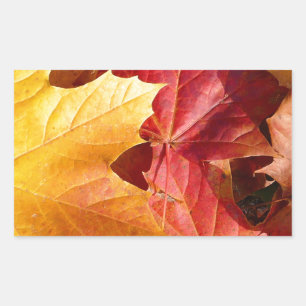 Sticker Rectangulaire Feuilles d'automne - Etonnant!