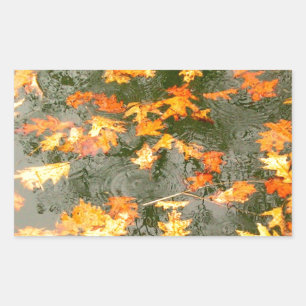 Sticker Rectangulaire feuilles tombés sous la pluie