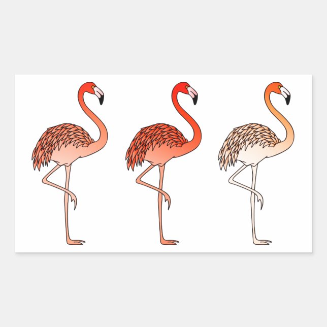 Sticker Rectangulaire Flamants roses couleur corail (Devant)