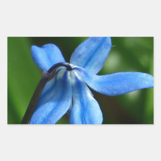 Sticker Rectangulaire Fleur Bluebell