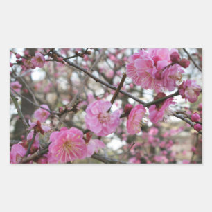 Sticker Rectangulaire Fleur de cerisier rose / Sakura / ク(桜)