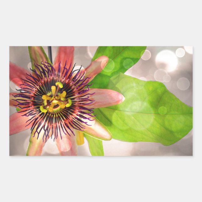 Sticker Rectangulaire Fleur de pâte (Devant)