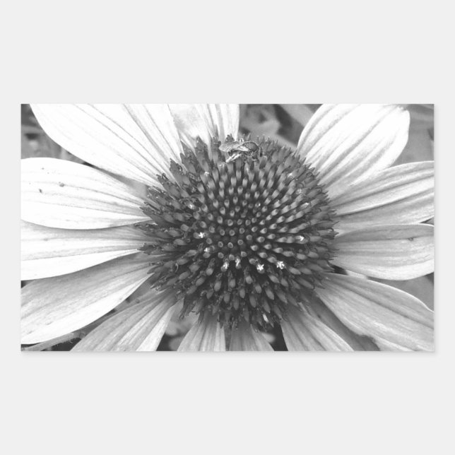 Sticker Rectangulaire Fleur en noir et blanc (Devant)