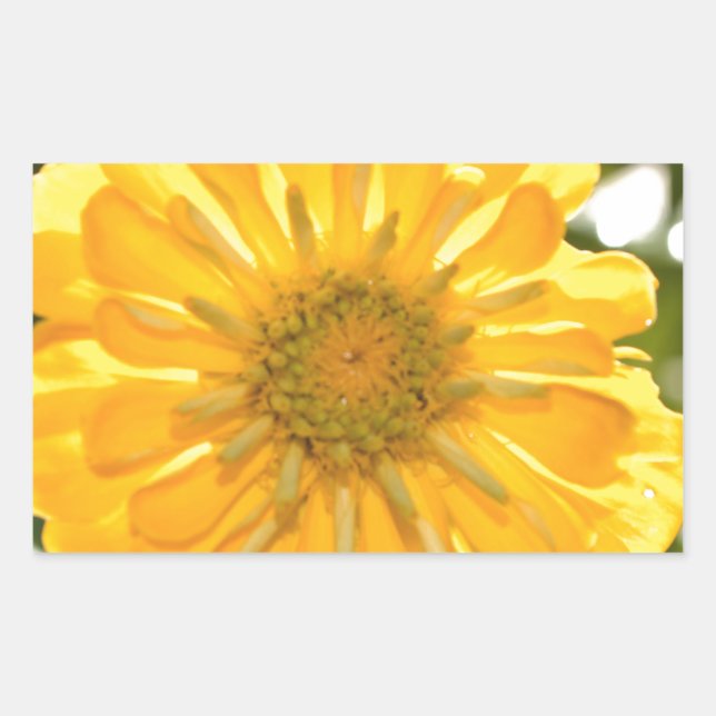 Sticker Rectangulaire Fleur jaune fleurie jaune marguerite jaune (Devant)