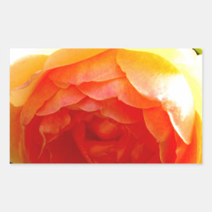 Sticker Rectangulaire Fleur jaune jaune rose jaune