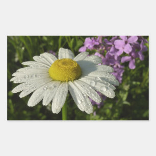 Sticker Rectangulaire Fleur sauvage Daisy et Summer Lilac