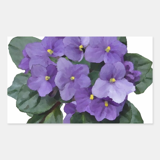 Sticker Rectangulaire Fleur violet violet de jardin d'Afrique (Devant)