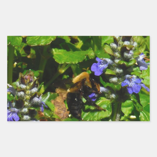 Sticker Rectangulaire Fleur violette et abeille boursouflante (Devant)