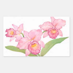 Sticker Rectangulaire Fleurs d'aquarelle rose exotique