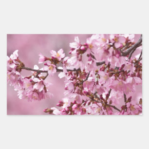 Sticker Rectangulaire Fleurs de Cerisier Sakura Pastel Rose Calquees