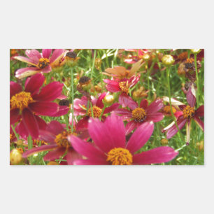 Sticker Rectangulaire Fleurs de marguerite rose et jaune brillantes