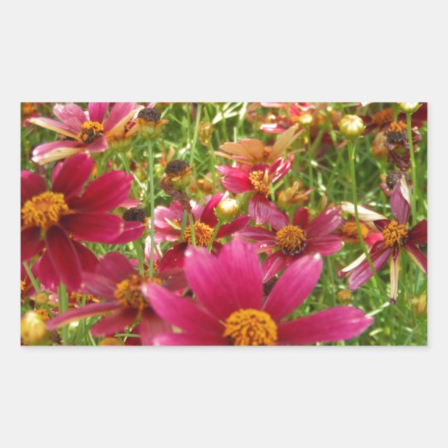 Sticker Rectangulaire Fleurs de marguerite rose et jaune brillantes (Devant)