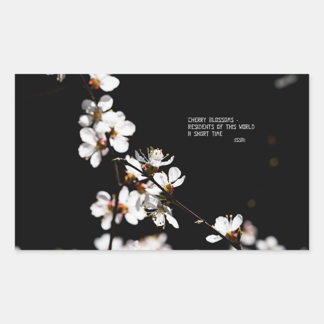 Sticker Rectangulaire Fleurs Sakura (Devant)