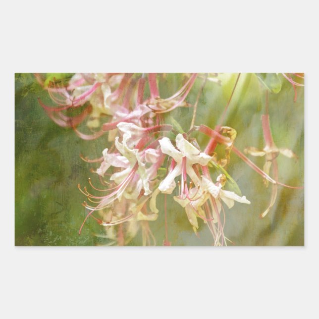 Sticker Rectangulaire Fleurs sauvages de l'Azalée = Printemps (Devant)
