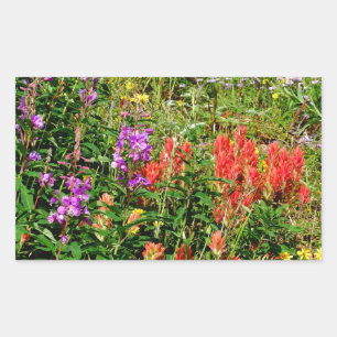 Sticker Rectangulaire Fleurs sauvages des Rocheuses