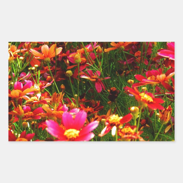 Sticker Rectangulaire Fleurs sauvages rose et jaune pâle (Devant)