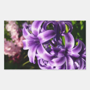 Sticker Rectangulaire Floral Blue Hyacinth