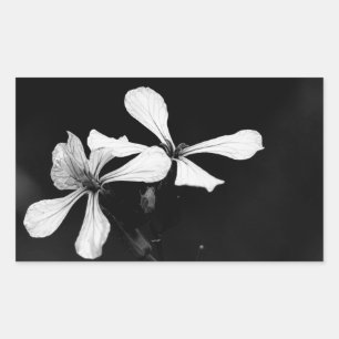 Sticker Rectangulaire floral noir et blanc minimaliste