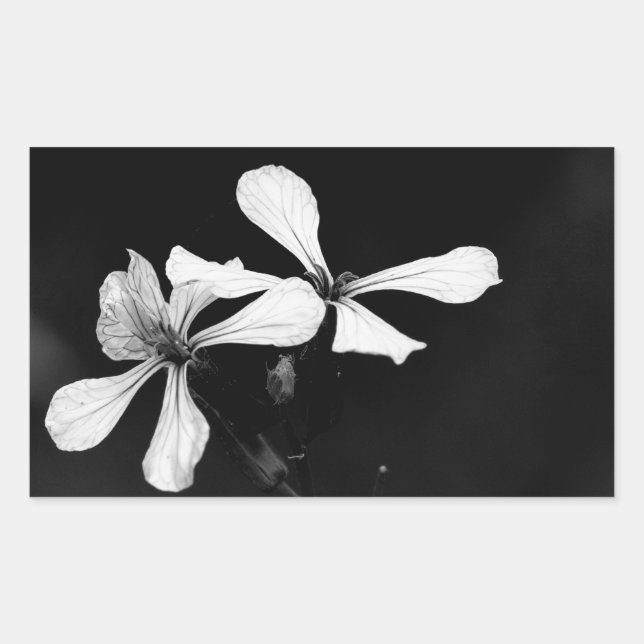 Sticker Rectangulaire floral noir et blanc minimaliste (Devant)