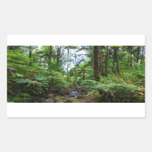 Sticker Rectangulaire Flore tropicale de la forêt tropicale de el yunque
