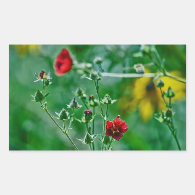 Sticker Rectangulaire Fly-By dans le jardin (Devant)