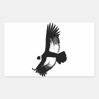 Sticker Rectangulaire Flying Andean Condor