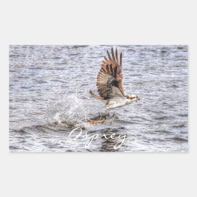 Sticker Rectangulaire Flying Osprey & Fish HDR Wildlife Photo Don (Devant)
