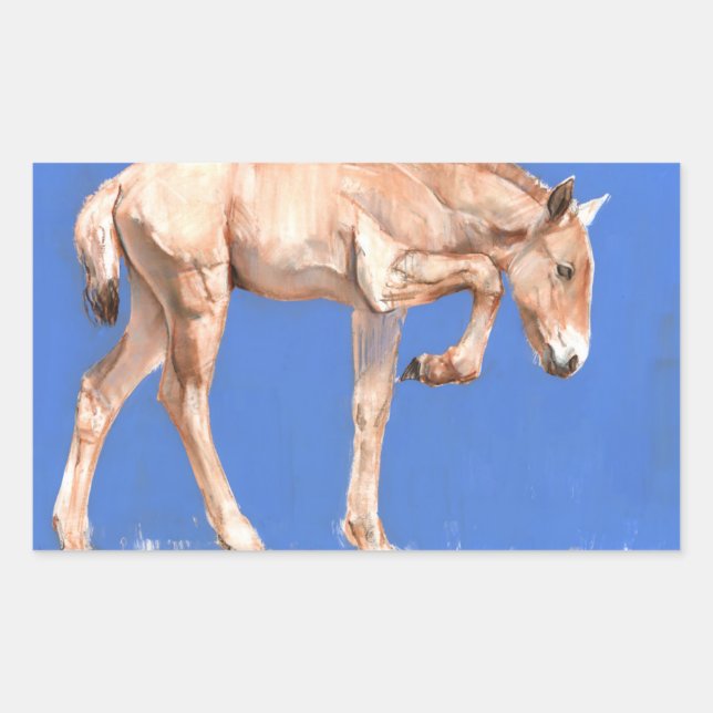 Sticker Rectangulaire Foal de Przewalski 2012 (Devant)