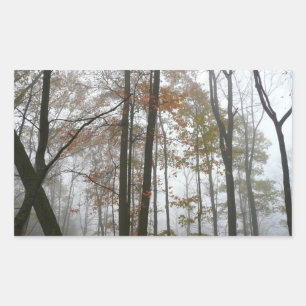 Sticker Rectangulaire Foggy Fall en Pennsylvanie Automne Nature