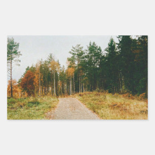 Sticker Rectangulaire Forêt automnale suédoise