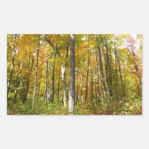 Sticker Rectangulaire Forêt de feuilles jaunes Paysage d'automne