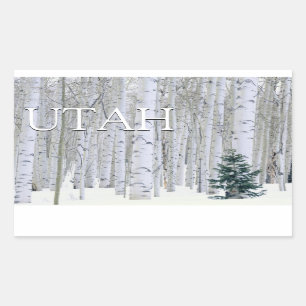 Sticker Rectangulaire Forêt nationale de Manti-LaSal, Utah