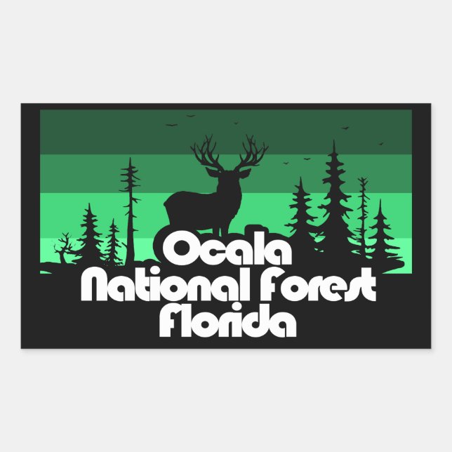 Sticker Rectangulaire Forêt nationale d'Ocala Floride (Devant)