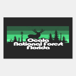 Sticker Rectangulaire Forêt nationale d'Ocala Floride