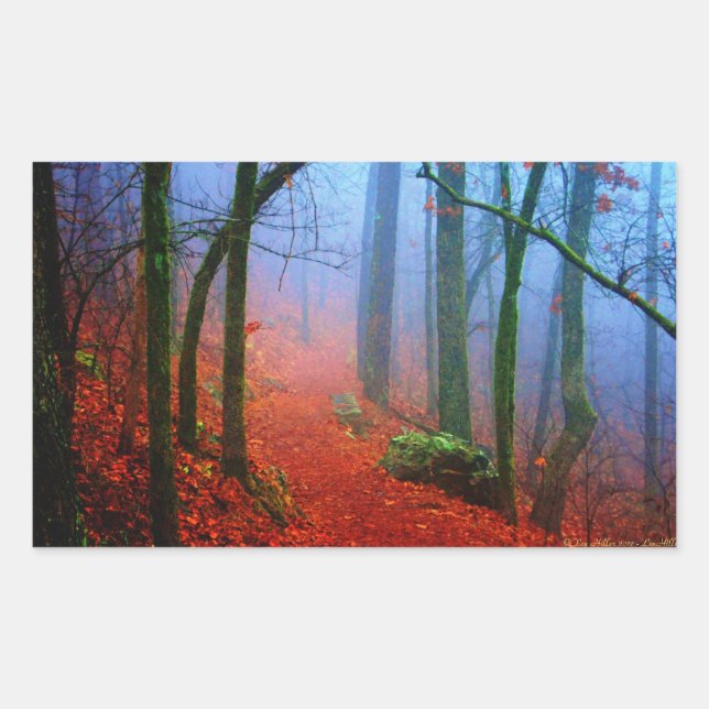 Sticker Rectangulaire Forêt peinte Automne Brouillard bleu (Devant)