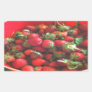 Sticker Rectangulaire Fraises classiques