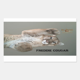 Sticker Rectangulaire Freddie Cougar