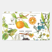 Fruit Larousse Orange Pear Raisin Jardin Nature Ar