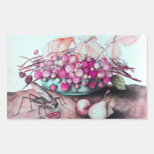 STICKER RECTANGULAIRE FRUITS DE SAISON / FRAISES ET PEURS