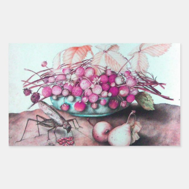 STICKER RECTANGULAIRE FRUITS DE SAISON / FRAISES ET PEURS (Devant)