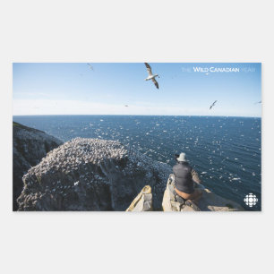 Sticker Rectangulaire Gannets du Nord