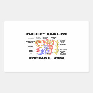 Sticker Rectangulaire Gardez Le Renal Calme (Néphron Du Rein)