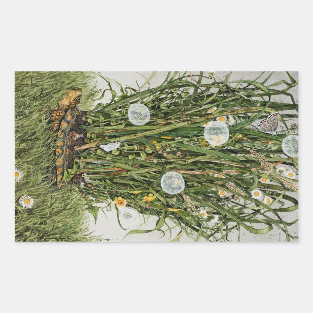 Sticker Rectangulaire Gazon égaré (Devant)