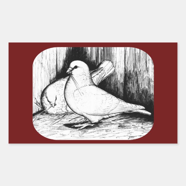 Sticker Rectangulaire Géant Runt Pigeons (Devant)
