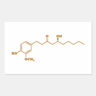 Sticker Rectangulaire Gingerol Molecule formule chimique