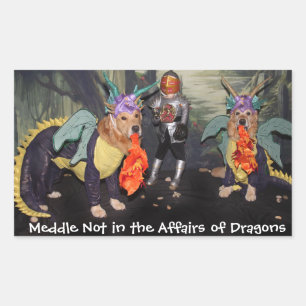 Sticker Rectangulaire Golden Retriever Dragons Médaille pas