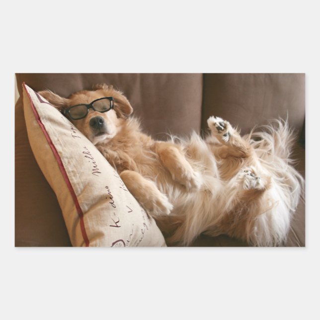 Sticker Rectangulaire Golden Retriever endormi sur Coussin (Devant)