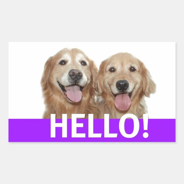 Sticker Rectangulaire Golden Retriever Hello (Devant)