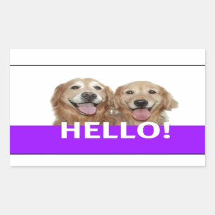 Sticker Rectangulaire Golden Retriever Hello